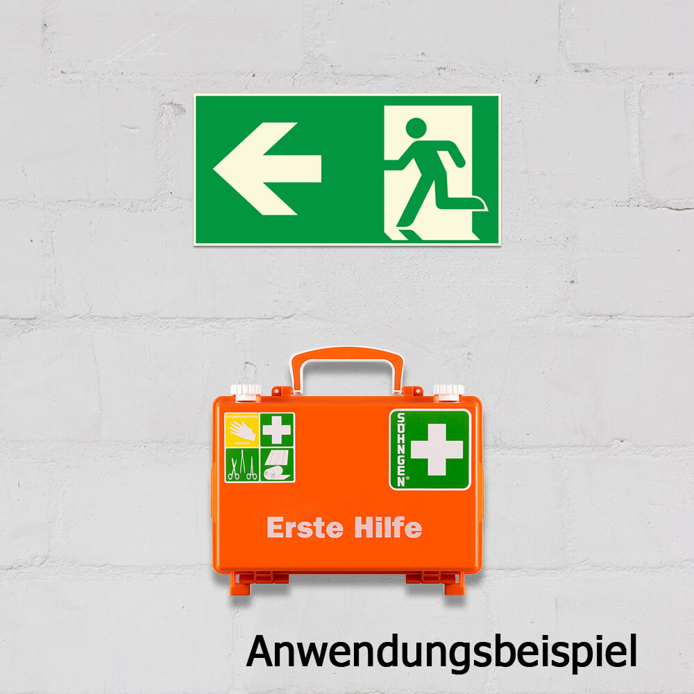 NOTAUSGANG RETTUNGSZEICHEN RETTUNGSWEGSCHILD Schild Brandschutzzeichen ASR A1.3 EUR 6,04